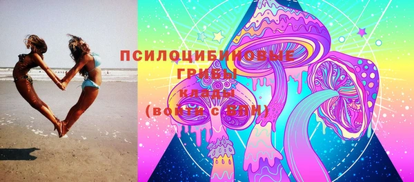 шишки Балахна