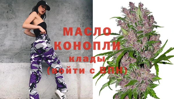 индика Балабаново