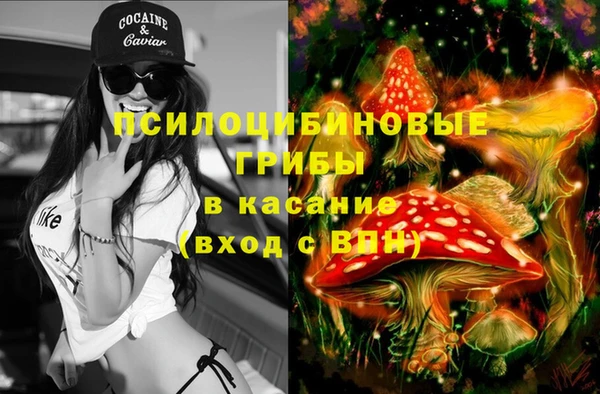 индика Балабаново