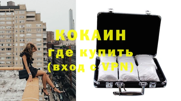 индика Балабаново